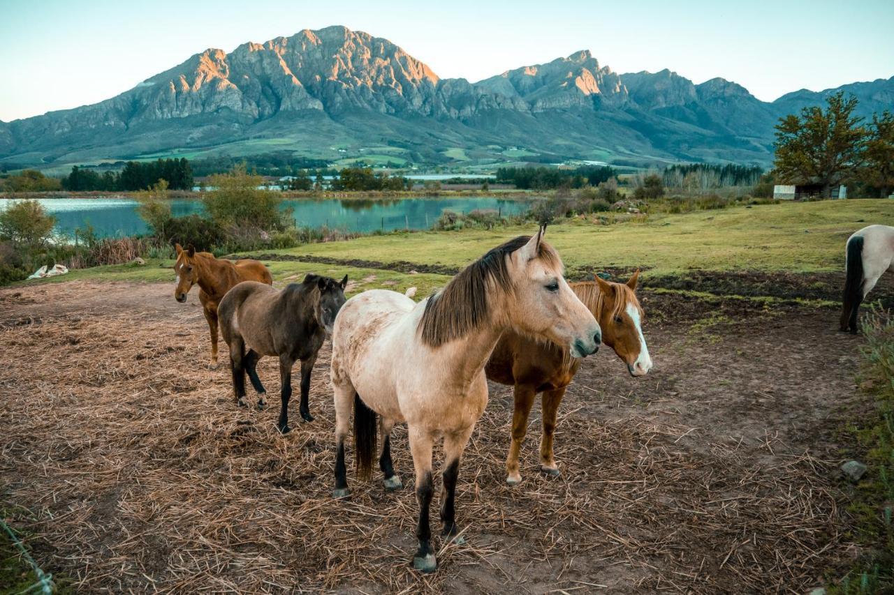 Tulbagh Boutique Heritage Hotel Luaran gambar